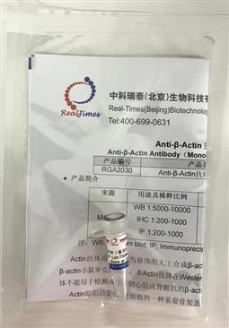 Anti-β-Actin抗體(tǐ)（鼠單抗）